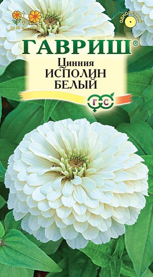 Цинния Исполин белый купить в интернет-магазине Чистый Мир.