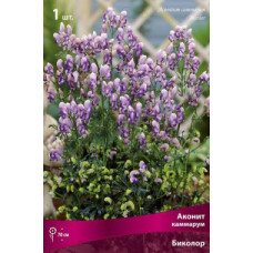 Аконит каммарум Биколор