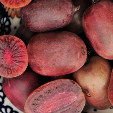 Актинидия аргута Пурпурна Садова