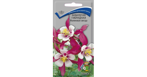 Аквилегия м издательство сайт. Аквилегия гибридная спринг мэджик йеллоу. У аквилегия винки какие листья. Аквилегия гибридная красная звезда. Аквилегия м издательство сайт.
