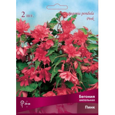 Бегония Пинк (ампельная)