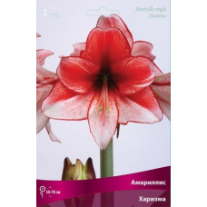 Амариллис Харизма
