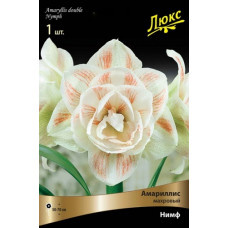 Амариллис Нимф