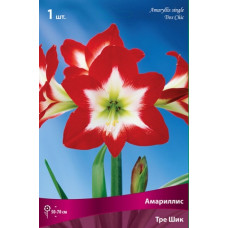 Амариллис Тре Шик
