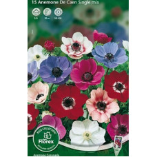 Анемона Де Кан Смесь Окрасок (корончатая)