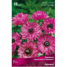 Анемона Сент Бриджит Адмирал
