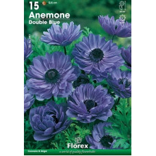 Анемона Блу (махровая)