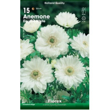 Анемона Вайт (махровая)