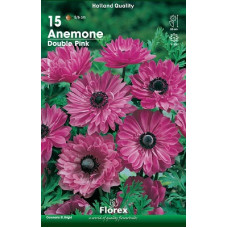 Анемона Пинк