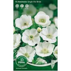 Анемона Зе Брайд