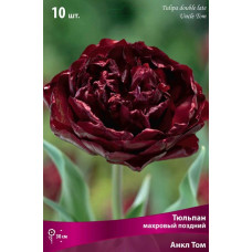Тюльпан Анкл Том