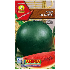 Арбуз Огонек
