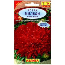 Астра Миледи красная