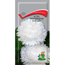 Астра пионовидная Белая башня