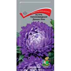 Астра пионовидная Дюшес блю