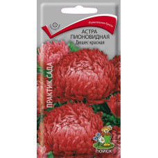 Астра пионовидная Дюшес красная
