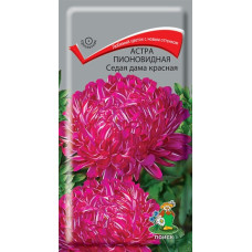 Астра пионовидная Седая Дама красная