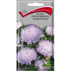 Астра пионовидная Серебряная башня