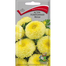 Астра помпонная Желтая