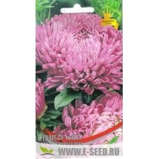 Астра Пионовидная Розовая Башня