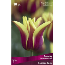 Тюльпан Баллада Дрим 