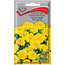 Бархатцы отклоненные махровые Бой желтые
