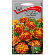 Бархатцы отклоненные махровые Болеро