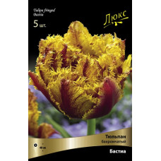 Тюльпан Бастиа (бахромчатый)