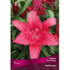 Лилия Батистеро 