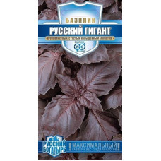 Базилик Русский гигант фиолетовый