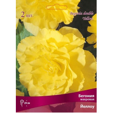 Бегония Йеллоу (махровая)