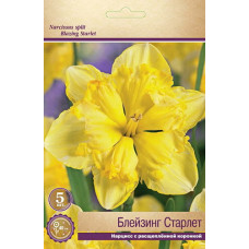 Нарцисс Блейзинг Старлет