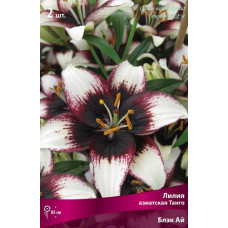 Лилия Блэк Ай (азиасткая Танго)