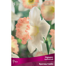 Нарцисс Бритиш Гэмбл