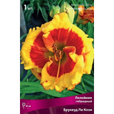 Лилейник гибридный Бруквуд Ли Кози