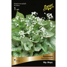 Бруннера Мр.Морс (крупнолистная)
