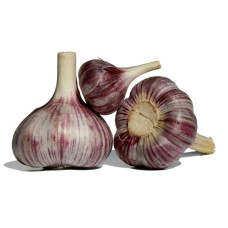 Чеснок озимый Комсомолец