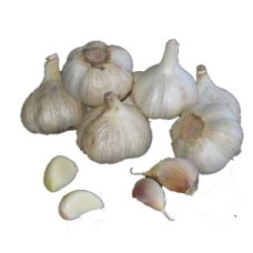 Чеснок озимый Полесский Сувенир (3 головки, сетка)