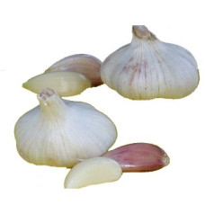 Чеснок озимый Сармат (3 головки, сетка)