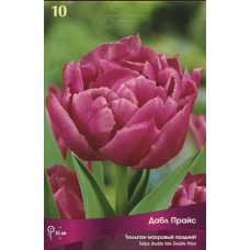 Тюльпан Дабл Прайс
