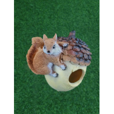 Навес Орех кормушка с белкой 