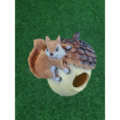 Навес Орех кормушка с белкой 