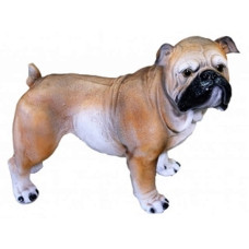 Собака Бульдог