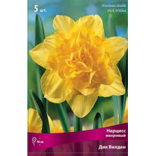 Нарцисс Дик Вилден