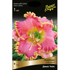 Лилейник гибридный Дивас Чойс