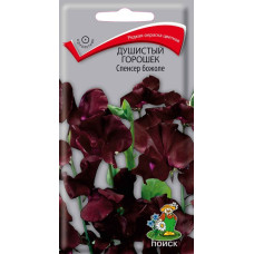 Душистый горошек Спенсер Божоле