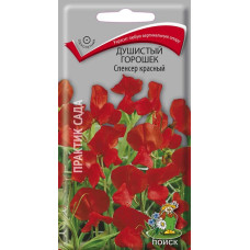 Душистый горошек Спенсер Красный
