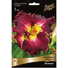 Лилейник гибридный Экселент