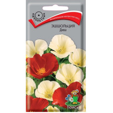 Эшшольция Дива