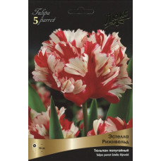 Тюльпан Эстелла Рижнвельд (Серия Люкс)